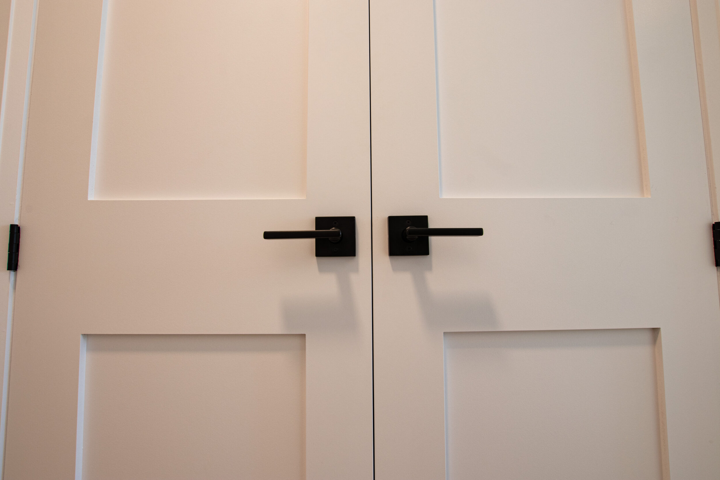 2 panel shaker doors